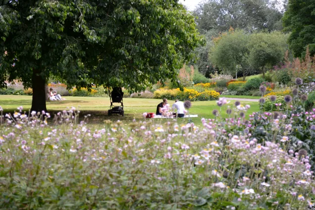 Picnic in Botanical garden. Photo.