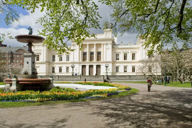 The university main building. Photo.